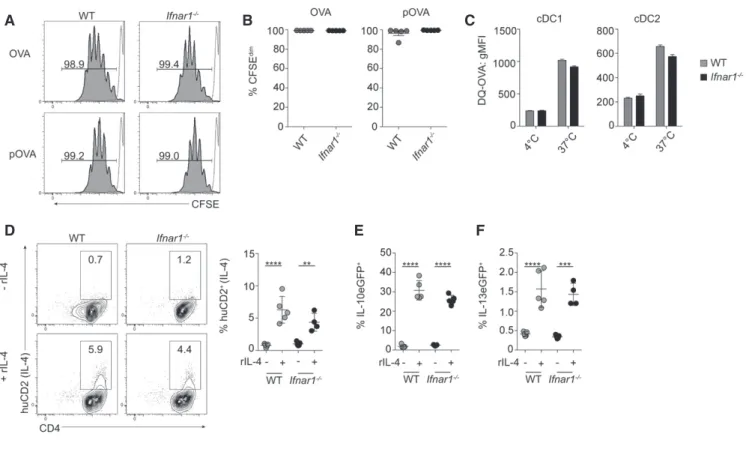 Figure 4 . Ifnar1 / FL-cDC APC function is comparable to WT FL-cDC in vitro .