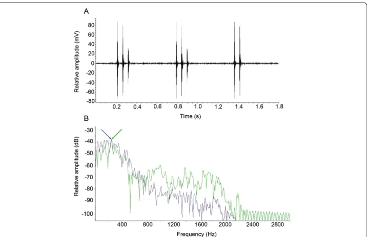 Figure 4 Waveform of sounds produced by Stegastes rectifraenum. A) Oscillogram of multiple-pulsed aggressive sounds