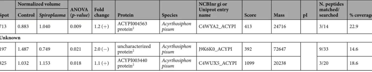 Table 1.  Identification of differently abundant spots from Spiroplasma-free (Ac-B) and Spiroplasma infected  (Ac-BS) isolines of Aphis citricidus feeding on sweet orange