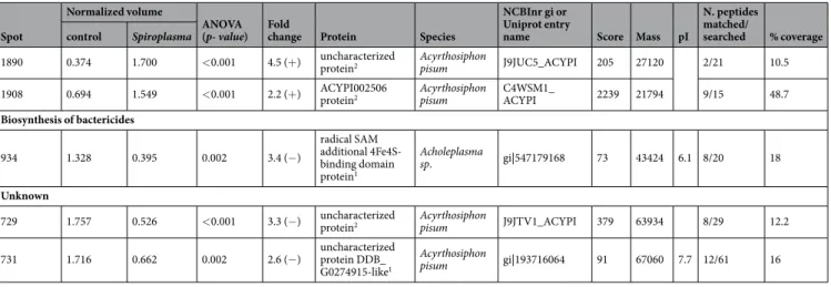Table 2.  Identification of differently abundant spots from Spiroplasma-free (Ac-B) and Spiroplasma infected  (Ac-BS) isolines of Aphis citricidus feeding on orange jasmine