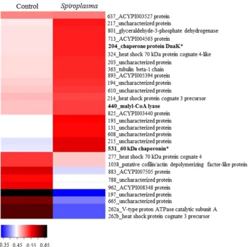 Figure 2.  Heatmap of identified proteins on orange jasmine. Proteins are identified by their spot number  followed by Blast2Go or Uniprot identification