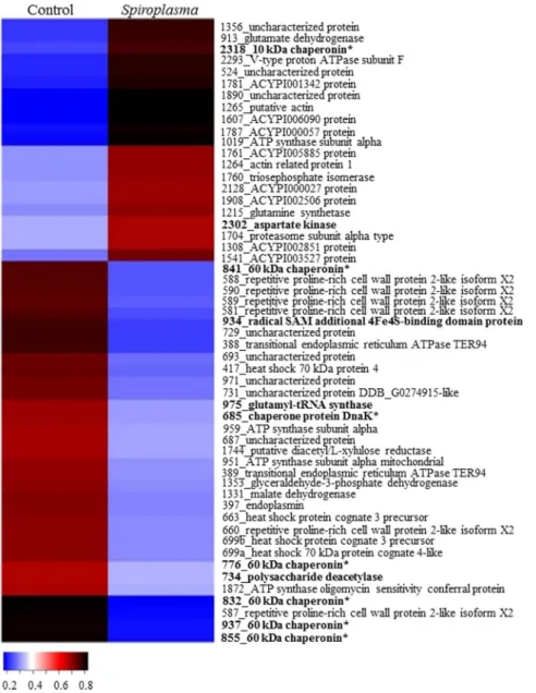 Figure 3.  Heatmap of identified proteins on sweet orange. Proteins are identified by their spot number followed  by Blast2Go or Uniprot identification