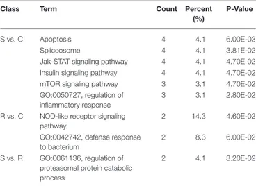 TABLE 2 | Functional annotation and pathway enrichment analysis of all target genes were performed using GO and KEGG.