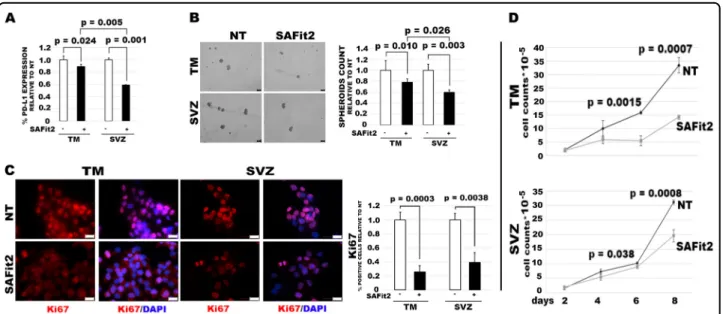 Fig. 5 SAFit2 decreases PD-L1 expression and spheroid formation and impairs in vitro growth of TM-GBM and SVZ-GBM cells