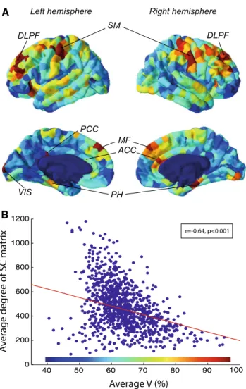 Fig. 6 a Average V in each ROI for w ¼ 40 s and corresponding distribution. DLPF dorso-lateral prefrontal cortex, SM sensory-motor cortex, PCC posterior cingulate cortex, MF mesio-frontal cortex, ACC anterior cingulate cortex, PH parahippocampal cortex, VI