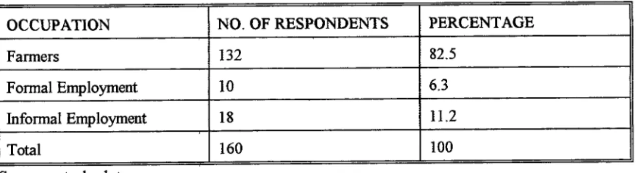 Table 4.4 Occupation of hoitsehold heads 