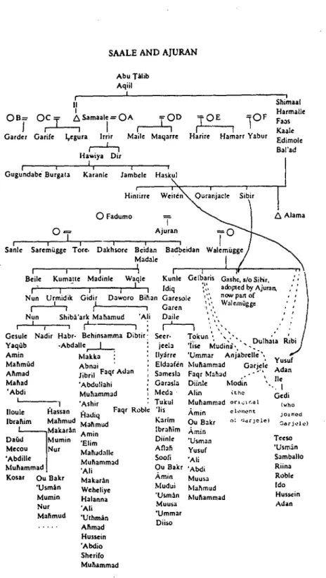 Diagram 30  Genealogical ideas of some Kenya Ajuran 