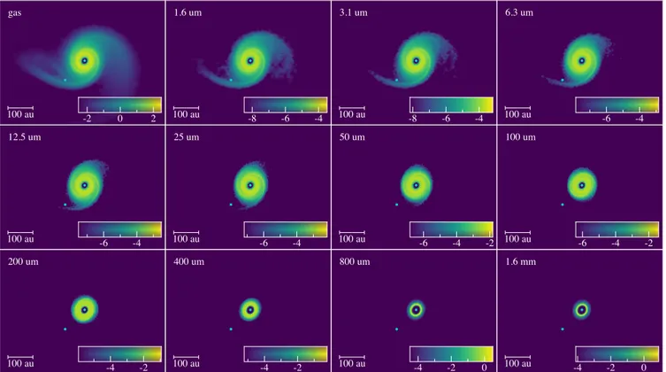 Figure 7. Rendered column density maps of the disc in the plane of the sky after 10 orbits of the final gas+dust simulation for orbit 0, for gas and the 11 grain sizes (from left to right and top to bottom)