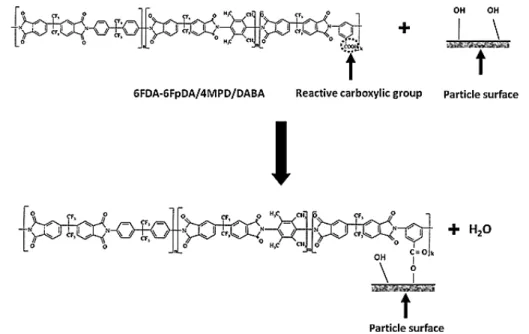 Figure 2.3. Schematic representation of chemical grafting of 6FDA-6FpDA/4MPD/DABA to the ze- ze-olite particle surface [27, 28].