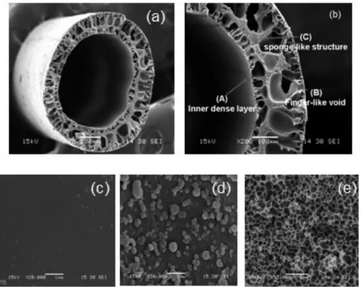 Figure 2.9. SEM images of hollow-fiber MMMs filled with HKUST-1: (a, b) cross-section, (c) outer surface, (d) surface of finger-like void, and (e) sponge-like structure [45].