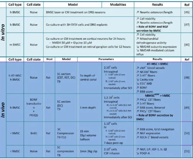 Table 2: ACUTE PHASE EVENTS - Neurotrophic properties of MSCs/NCSCs, axonal  regrowth and protection against excitotoxicity