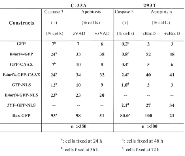 Table 2-III: Analysis of activated caspase-3 in cells expressing E4orf4-GFP proteins 