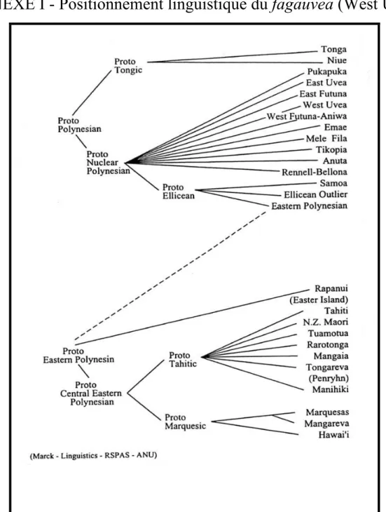 Figure 19. Classification des langues polynésiennes. 