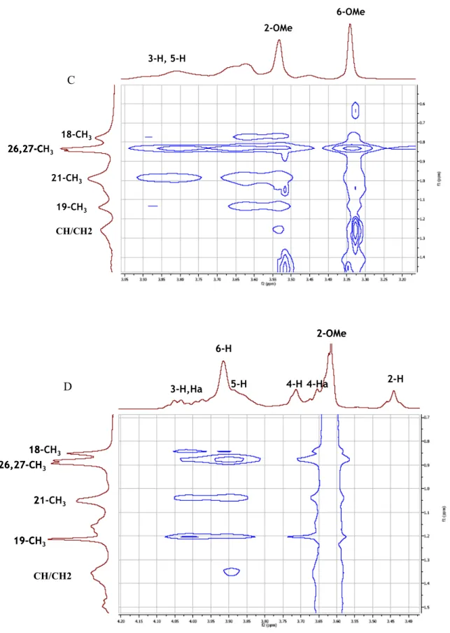 Figure 5. Two-dimensional ROESY spectrum of a solution containing CD (50 mM) saturated with cholesterol: Dimeb  (A), Trimeb (B), Rameb (C), Crysmeb (D).