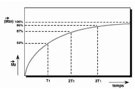 Figure  1.14  Courbe exponentielle de repousse de l’aimantation longitudinale en  fonction du T1 (Kastler 1997)