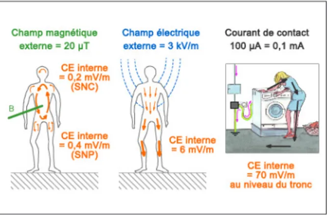 Figure 3. Estimation du CE interne (en orange) en fonction d’une source  externe (CM en vert, CE en bleu et CC en noir)