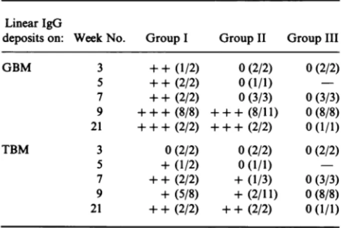 Table 1. Results of direct immunofluorescent studies on C3H kidney biopsies Linear IgG