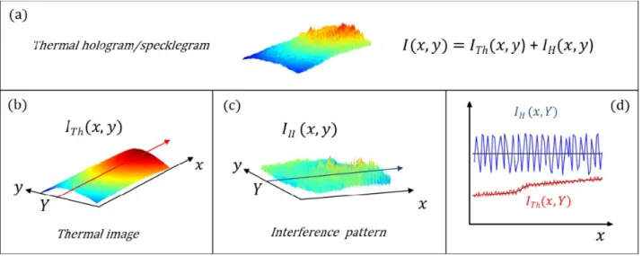Figure 1. Principle of combination: (a) hologram or specklegram recorded at thermal wavelengths, (b) thermal part of the  former, (c) interference part of the former, (d) line profile along line y=Y 