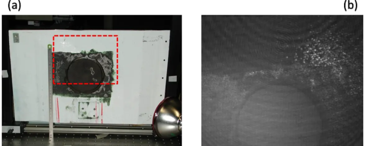 Figure 7. (a) Sandwich panel with circular repair in the centre. The zone observed in marked by red dots