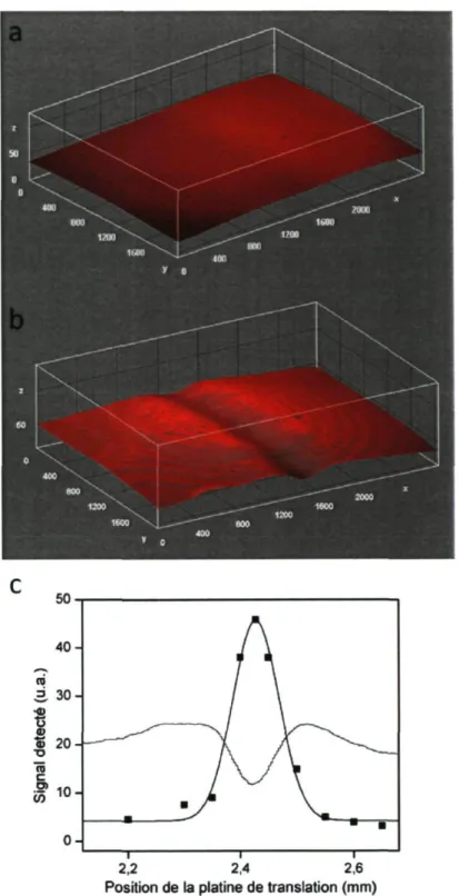 Figure 3.7 - Distribution spatiale de la fluorescence émise par l'échantillon a) avant  et b) après exposition 