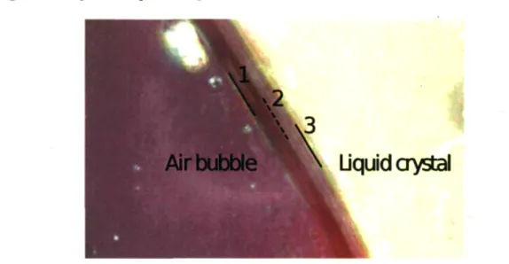FIG. 6.6: Microphotographie de l'interface entre le CL et la zone exposée au laser qui  n'est pas recouverte de CL (bulle d'air)
