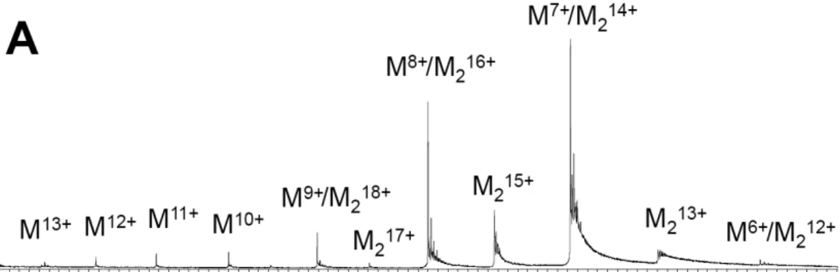 FIGURE 6. Mass spectra of His-tagged NeuTTM in the absence of added substrates and divalent  cations