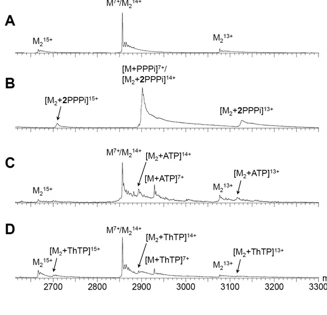 FIGURE 7. Mass spectra showing high specificity of NeuTTM for PPP i  compared to ATP and  ThTP