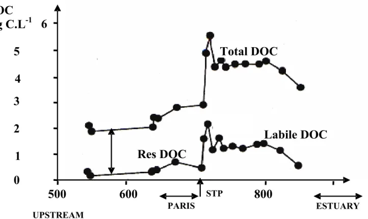 Figure 2.2.a. Longitudinal profiles of total dissolved organic carbon, easily degradable  (lab