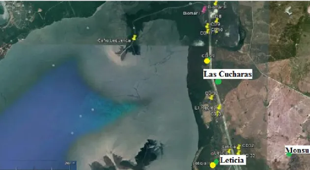 Fig  9 : Monsu et les sites de Leticia et Las Cucharas représentés à l’aide d’une épingle verte  (Carvajal : 2012)