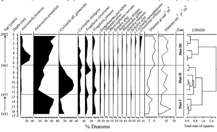 Fig. 5. Sedimentary diatom assemblages from Lake Galletué: diatom concentration, influx, and principal zones