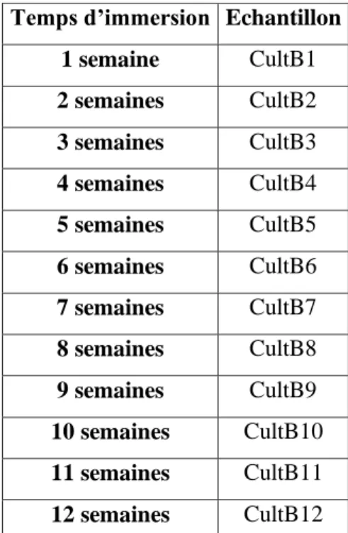 Tableau 2 : Dénomination des différents échantillons et de la durée à laquelle ils ont été prélevés