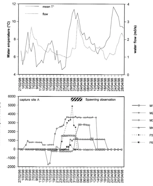 Fig. 2. Variations of water level and mean water temperature in the River Aisne during the study in 1998 (upper graph) and positions of the radio-tagged grayling (lower graph)