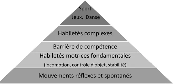 Figure 1 – Modèle de d’acquisition des mouvements sportifs, inspiré de Seefeldt, 1980 (dans Branta, 2010)