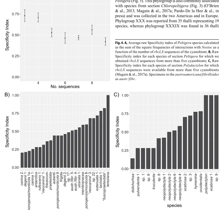 Fig. 4. A,  Average raw Specificity index of Peltigera species calculated  as the sum of the square frequencies of interactions with Nostoc as a  function of the number of rbcLX sequences of the cyanobiont;  B,  Raw  Specificity index for each species of s