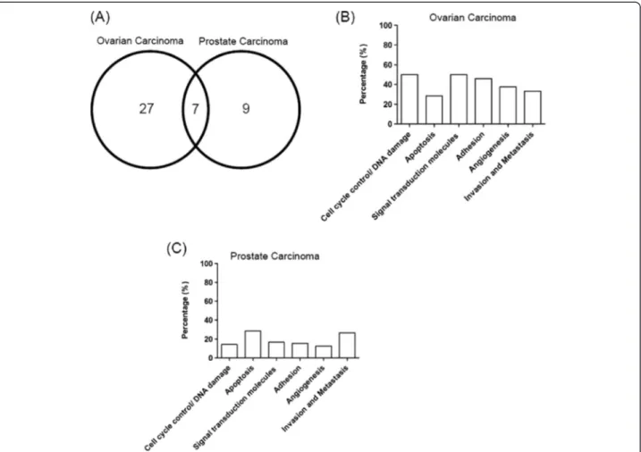 Figure 1 Venn diagram of overlapping genes with differential expression. (A) Genes differentially expressed in response to OPNc overexpression among the OC and PCa databases are shown