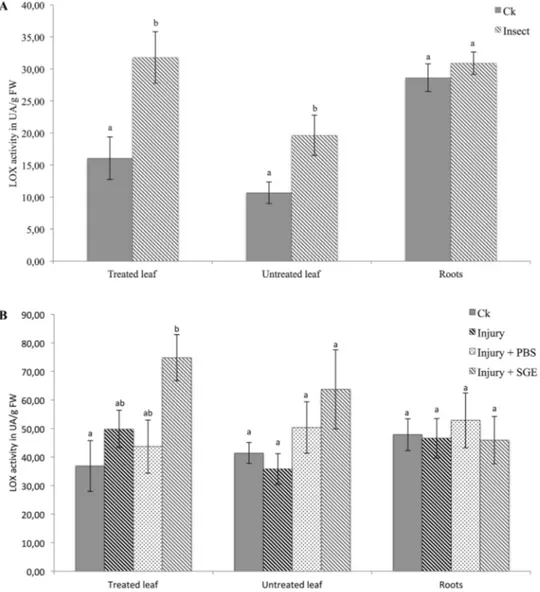 Fig. 1    Lipoxygenase activity in  treated leaves, untreated distal  leaves and roots of faba bean  a directly after the 24-h-long  insect feeding and b 24 h after  first salivary gland extracts  injection