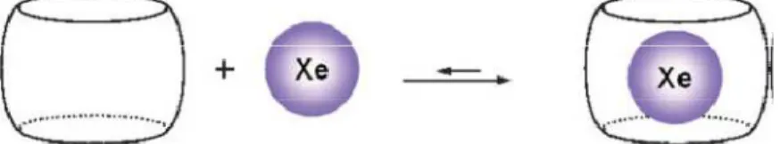 Figure 8 : Exemple de biocapteur pour de l’imagerie au  129 Xe RMN 