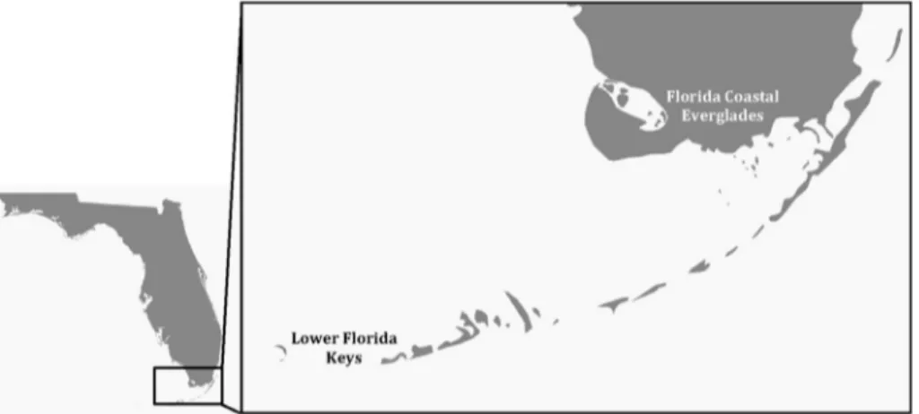 Fig. 1. The study was conducted in the Lower Florida Keys (Key West coastal waters) and in the Florida Coastal Everglades (southwest of the Everglades National Park) https://