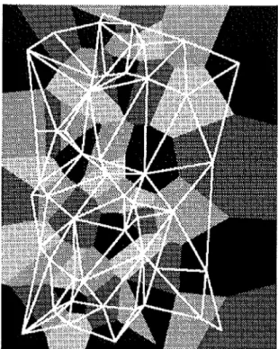 Figure 2. Delaunay triangulation drawn from a Voronoi  tessellation with the help of a raster procedure (original  data : McCullagh and Ross 1980)