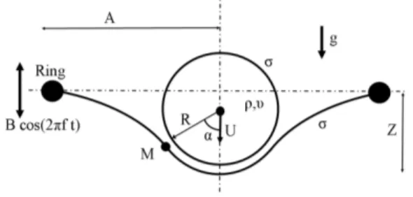 FIG. 1: Experimental system: a droplet of radius R = 0.8mm bounces on a soap film of radius A = 16.0mm vibrated with vertical displacement B cos Ωt
