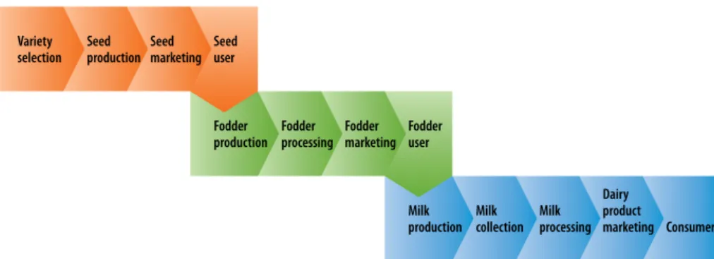 Figure 4 | Three dairy chains: the forage seed chain, fodder production chain and   milk processing chain