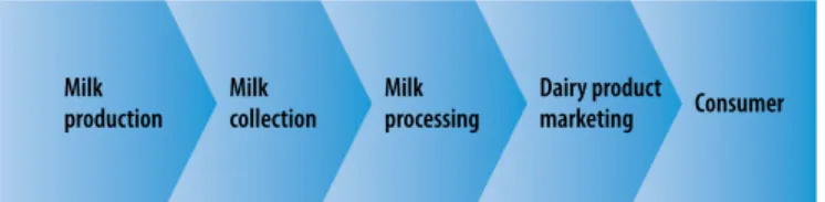 Figure 8 | Dairy chain