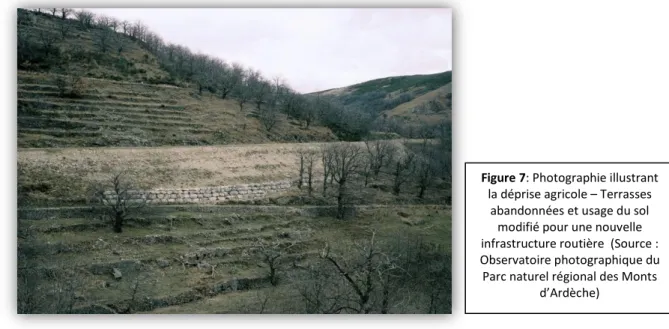 Figure 7: Photographie illustrant  la déprise agricole – Terrasses 