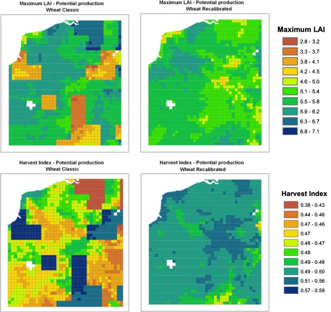 Figure 5. Spatial distribution of the average maximum leaf area index (LAI) and harvest index for winter wheat  over the study site 