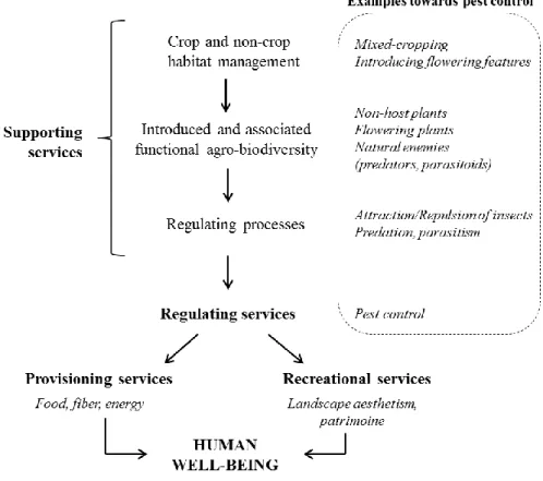 Figure  1.  The  concept  of  ecosystem  services  applied  to  the  natural  regulation  of  pests  (adapted from W