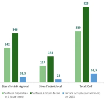 Figure 11 : État de la consommation foncière dans les ZAE  du SCoT en 2013 (source : SCoT des Vosges Centrales) Les acteurs impliqués 
