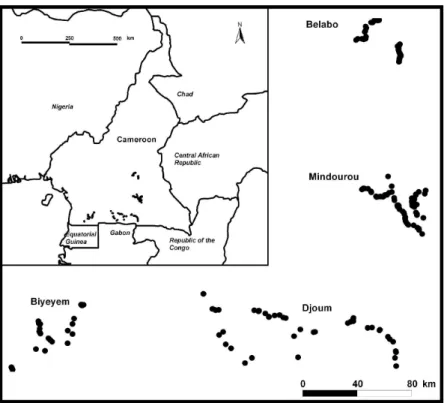 Fig. 1:  M. excelsa  sample locations  in Cameroon.  