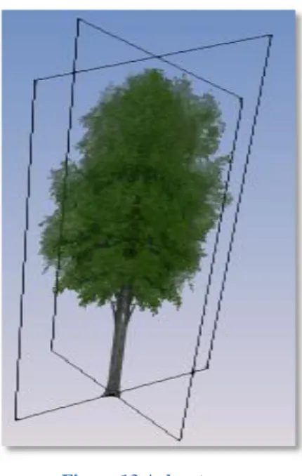 Figure 13 Arbre type 