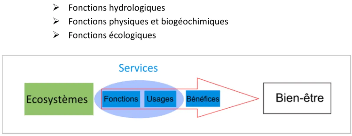 Figure 3 : le rôle écosystémique des zones humides   [Source : zones-humides.eaufrance.fr]  