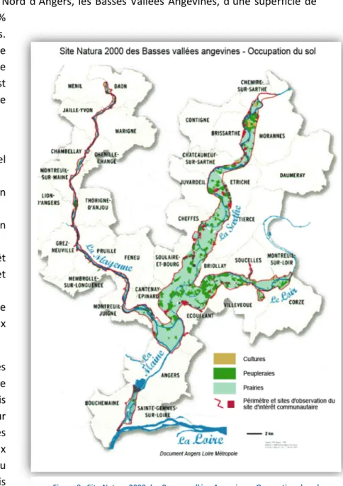 Figure 8 : Site Natura 2000 des Basses vallées Angevines : Occupation du sol   [Source : Angers Loire Métropole] 